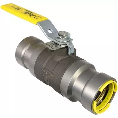 Apollo 89FVH4724 Valve