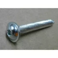 Blomberg 1732810600 Handle Screw
