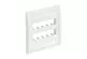Panduit CFPE10WH-2GY PAN Mini-Com Exec Faceplate