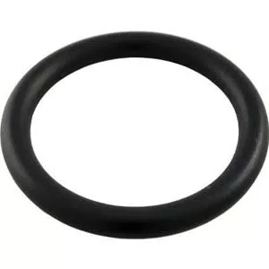 Pentair 51005000 Drain Plug O-Ring | 51005000