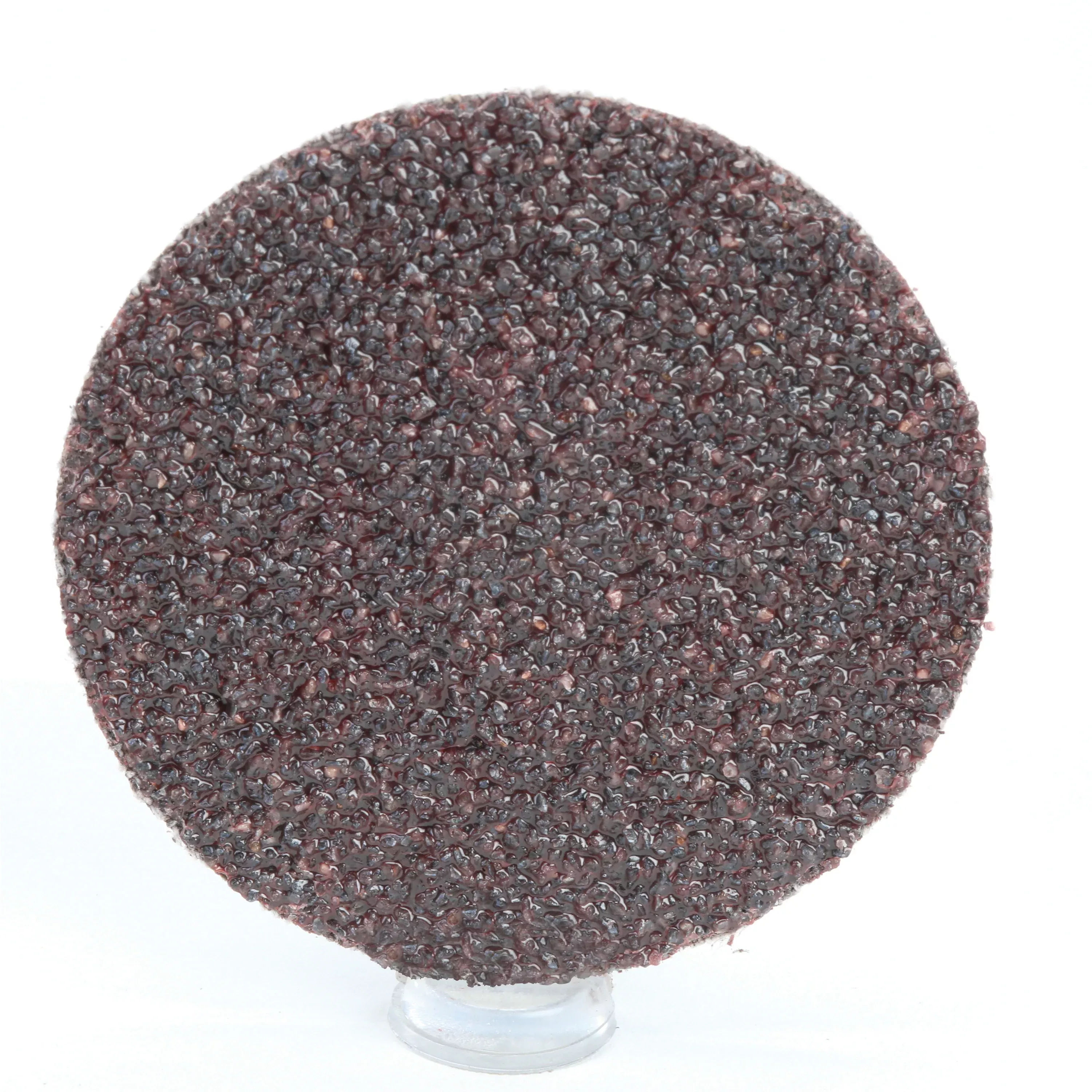 Roloc 3MIND-7000000371 Abrasive Disc 2 in Dia Disc 36 Grit