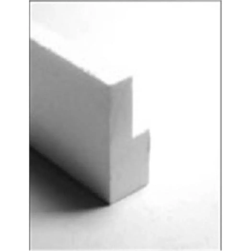 Stegmeier 16CF112 Frontier Step Ledger Form - 8 ft - 14 Pack