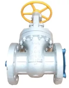 Warren Alloy 81305C8 Gate Valve